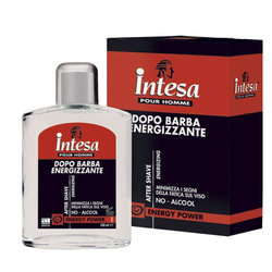 Energy Power balzamas po skutimosi Pour Homme balzamas po skutimosi vyrams 100ml
