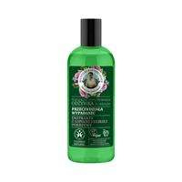Natūralus plaukų kondicionierius nuo plaukų slinkimo 260ml