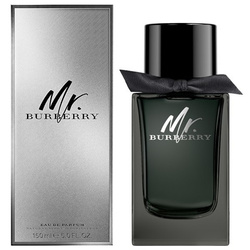 BURBERRY Mr.Burberry for Men EDP purškalas 150ml