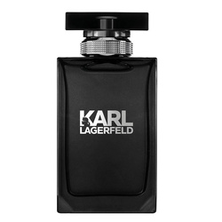 KARL LAGERFELD Pour Homme EDT 100ml testeris