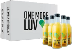 Dar vienas LUV BIO imbierinis gėrimas su medumi 12x50 ml