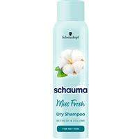 Miss Fresh sausas šampūnas gaivinantis sausas šampūnas 150ml