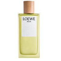 Loewe Solo Mercurio EDP 100ml TESTERIS