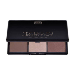 3 Steps To Perfect Face Contour Palette Dark 10g