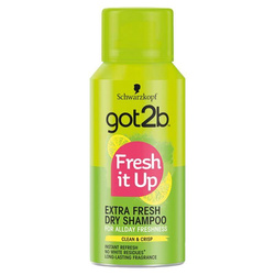 Fresh It Up sausas šampūnas Extra Fresh plaukų šampūnas 100ml