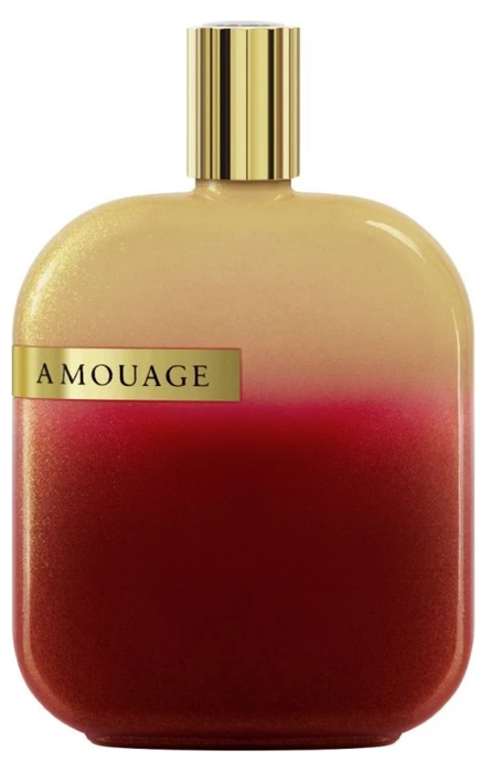 AMOUAGE The Library Collection Opus X 100ml EDP TESTERIS